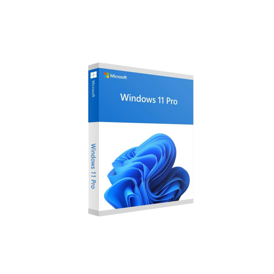 Win 11 Pro 64Bit French 1pk DSP OEI DVD